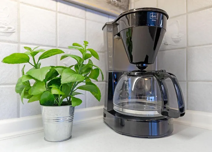 Strandhotel Schwalbennest 4*