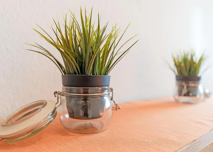 Strandhotel Schwalbennest דאהמה